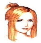 quistischar.jpg (7269 bytes)